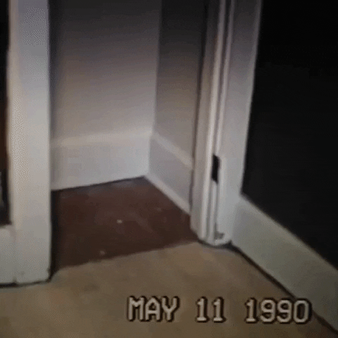 Animated GIF-downsized_large (68).gif