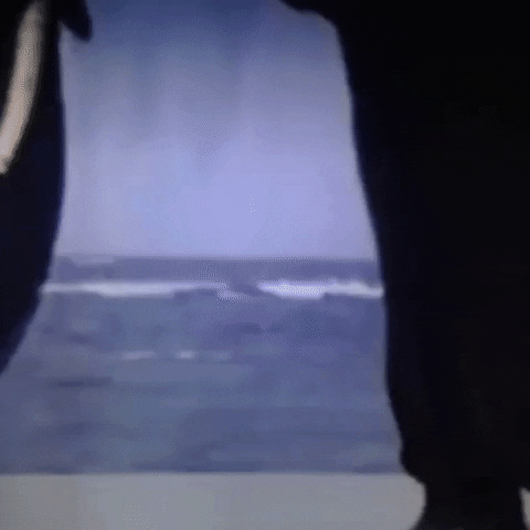 Animated GIF-downsized_large (86).gif