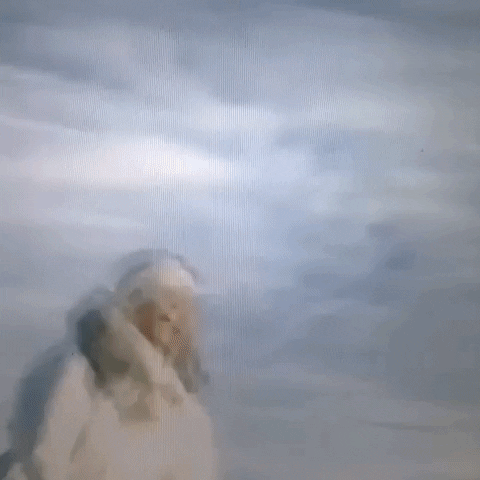 Animated GIF-downsized_large (87).gif