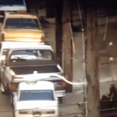 Animated GIF-downsized_large (90).gif