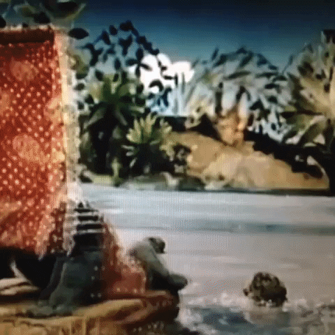 Animated GIF-downsized_large (100).gif