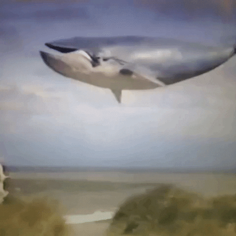 Animated GIF-downsized_large - 2021-02-22T191031.995.gif