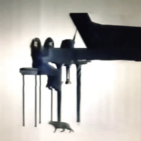 Animated GIF-downsized_large - 2021-02-22T191049.653.gif