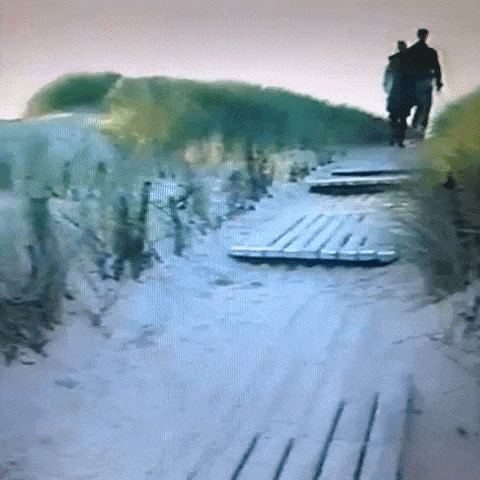Animated GIF-downsized_large - 2021-02-22T191104.001.gif