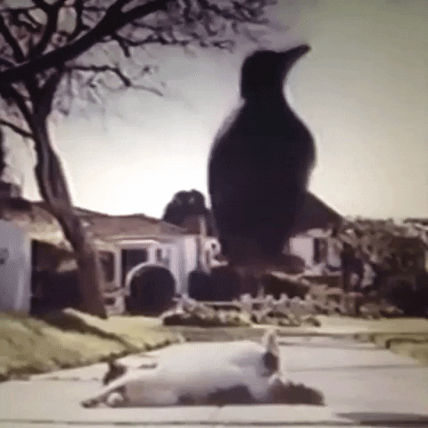 Animated GIF-downsized_large - 2021-02-22T191121.890.gif