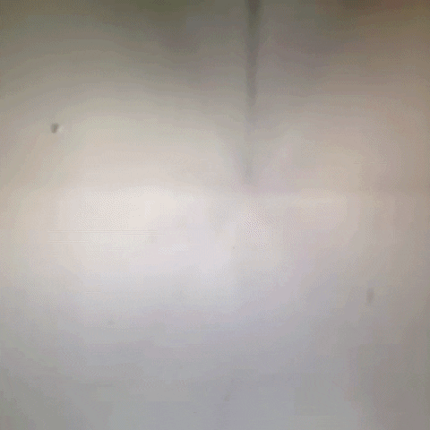 Animated GIF-downsized_large - 2021-02-22T191125.547.gif