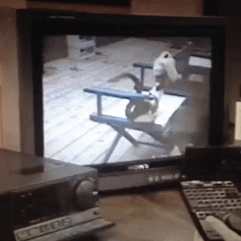 Animated GIF-downsized_large - 2021-02-22T191150.840.gif