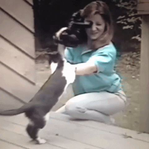 Animated GIF-downsized_large - 2021-02-22T191147.246.gif