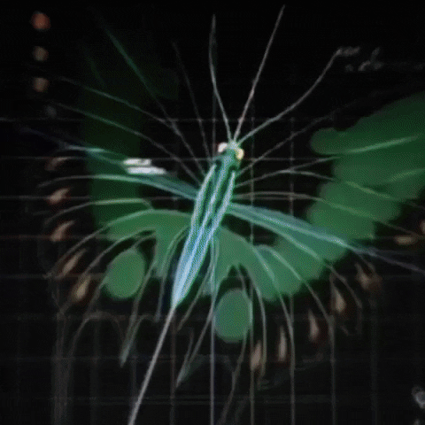 Animated GIF-downsized_large - 2021-02-22T191200.653.gif