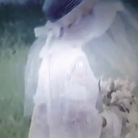 Animated GIF-downsized_large - 2021-02-22T191236.006.gif