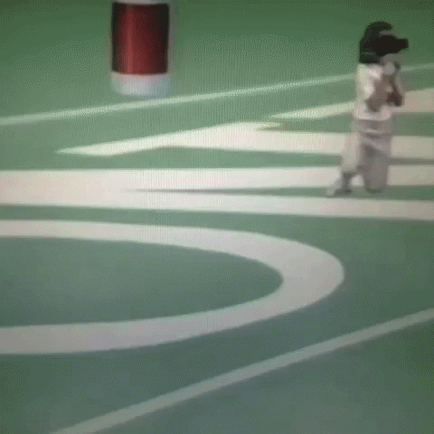 Animated GIF-downsized_large - 2021-02-22T191254.264.gif