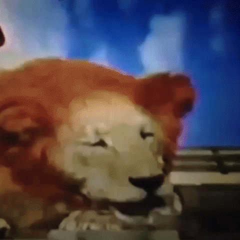 Animated GIF-downsized_large - 2021-02-22T191418.961.gif