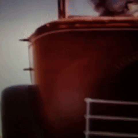 Animated GIF-downsized_large - 2021-02-22T191454.456.gif