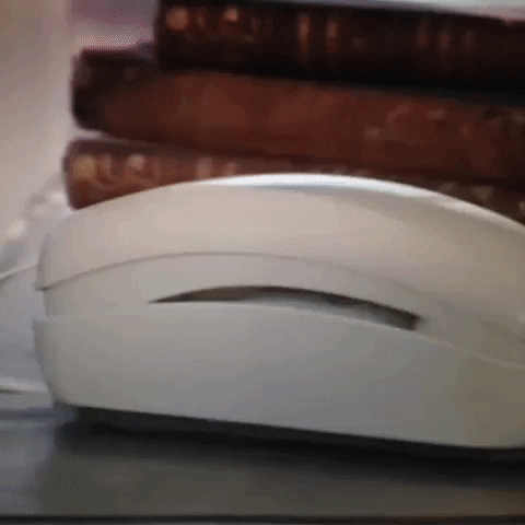 Animated GIF-downsized_large - 2021-02-22T191502.690.gif