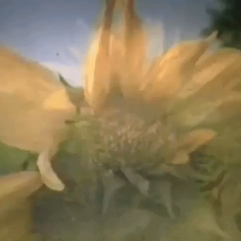 Animated GIF-downsized_large - 2021-02-22T191506.189.gif