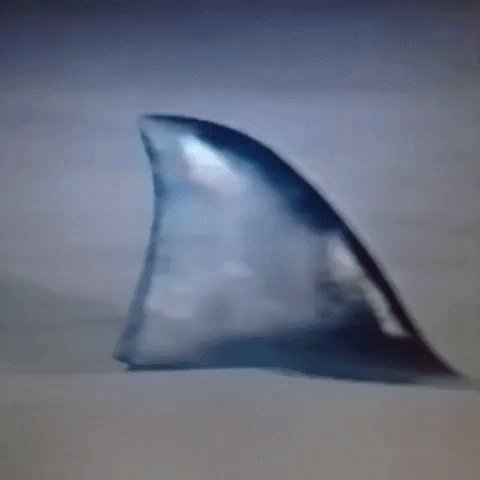 Animated GIF-downsized_large - 2021-02-22T191525.643.gif