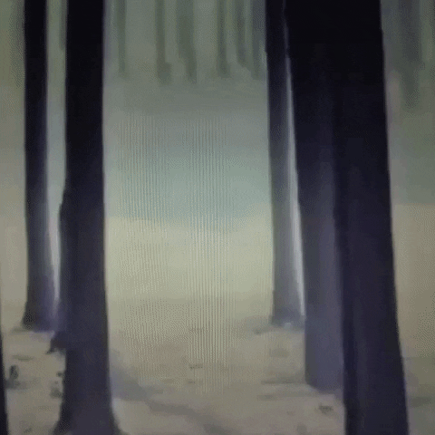 Animated GIF-downsized_large - 2021-02-22T191532.145.gif