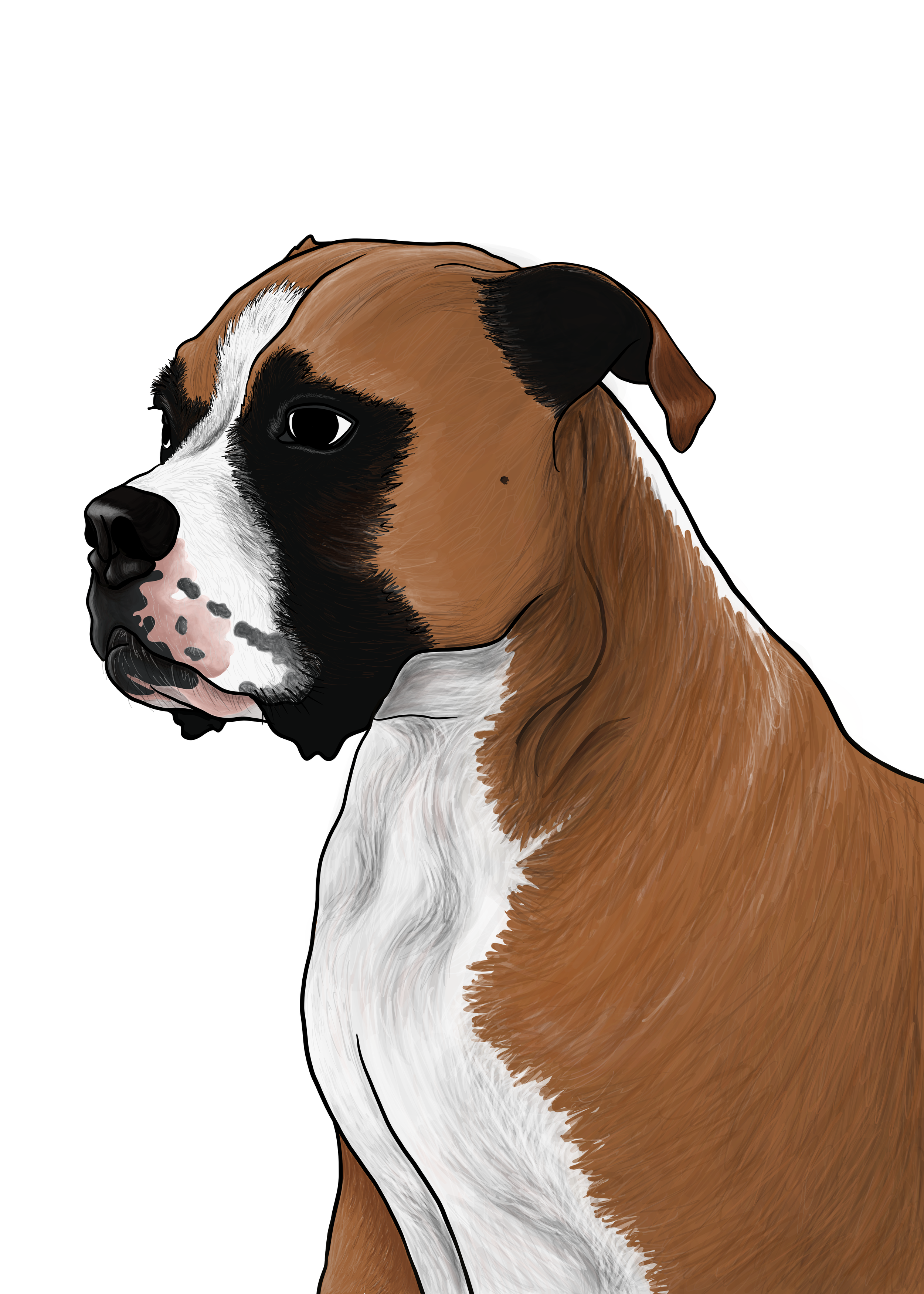 IMG_0342.PNG