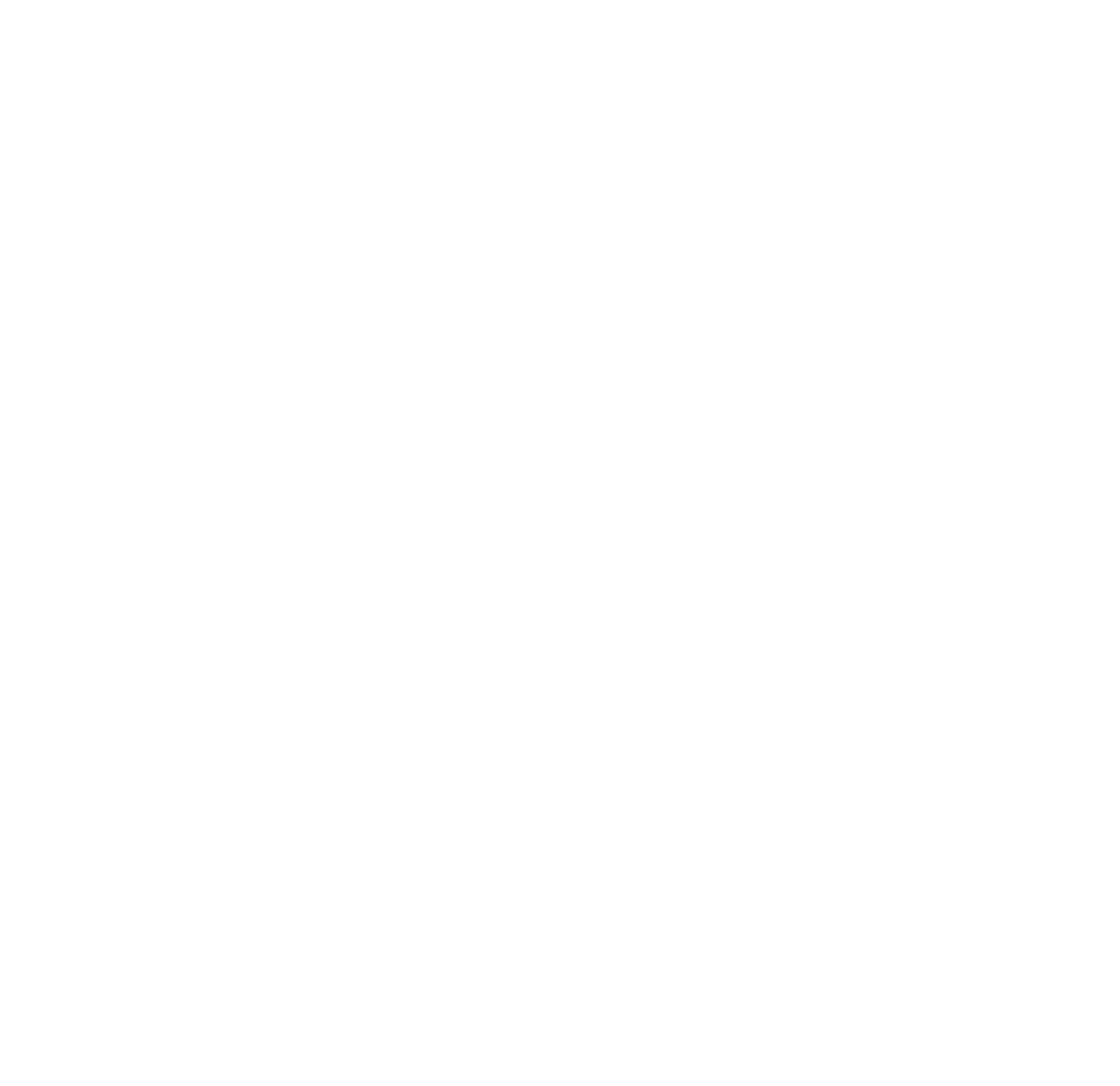 THE WELLBEING COLLECTIVE
