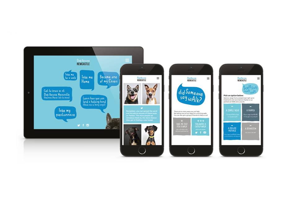 T1_Website_Dogs_web.png