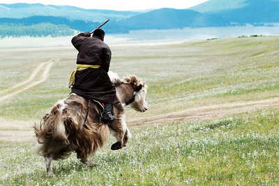 A yak running remotely