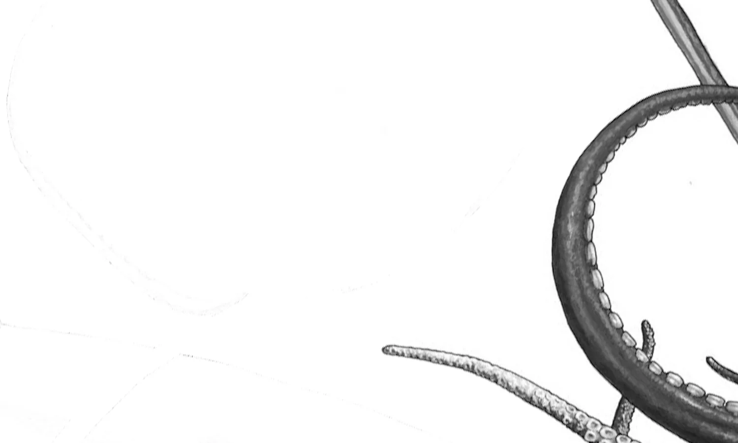Website_Monochrome-6.jpg
