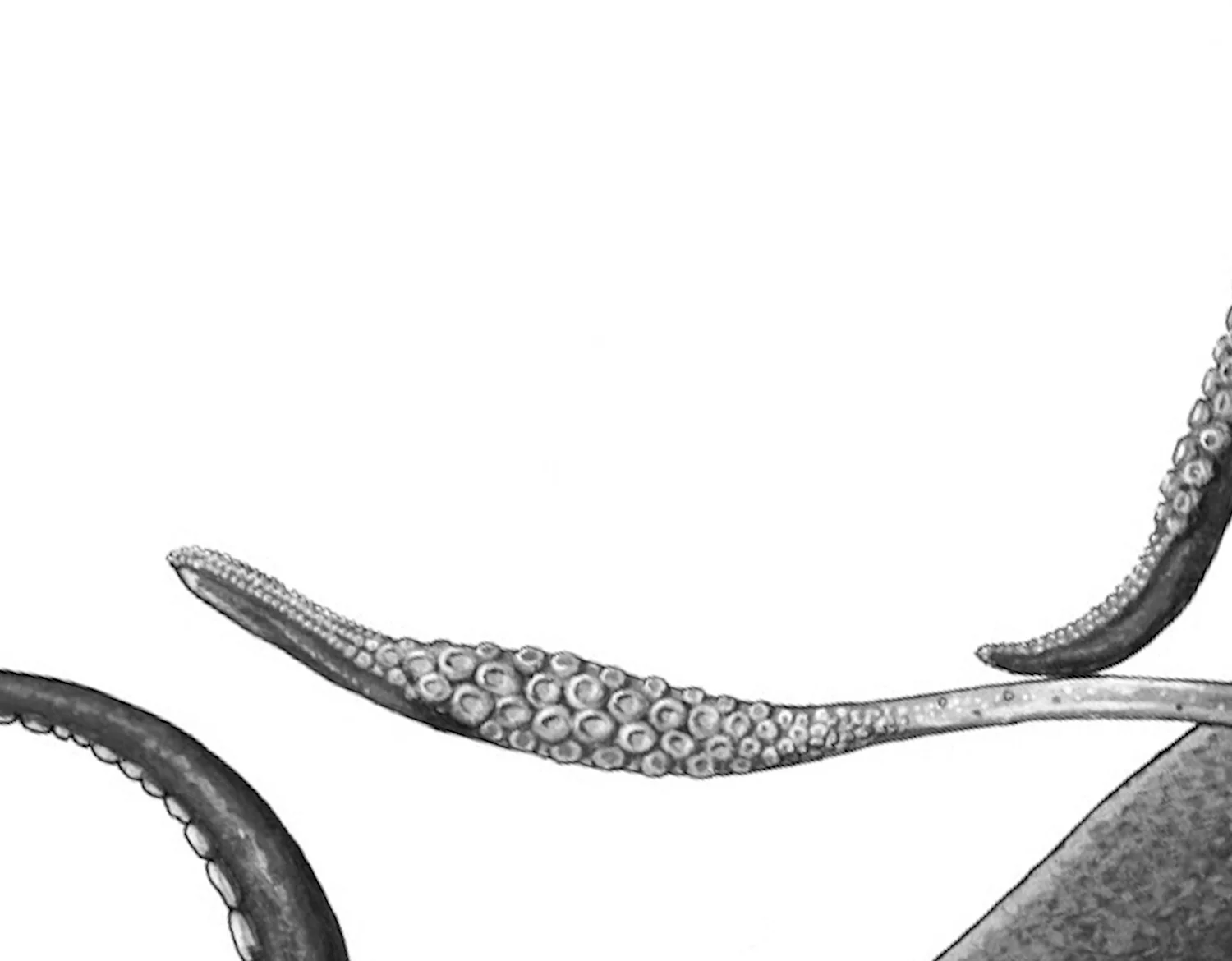 Website_Monochrome-5.jpg