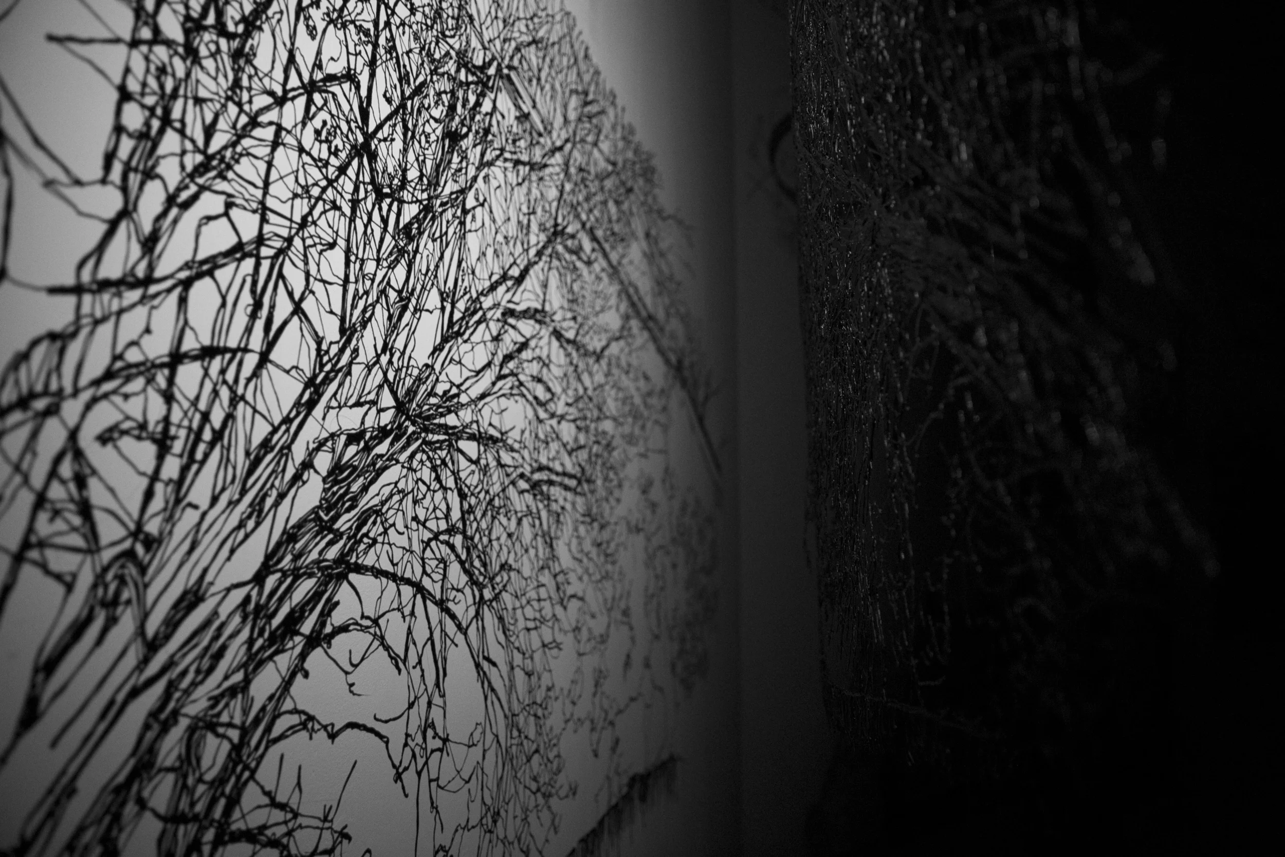 _MG_0610.jpg