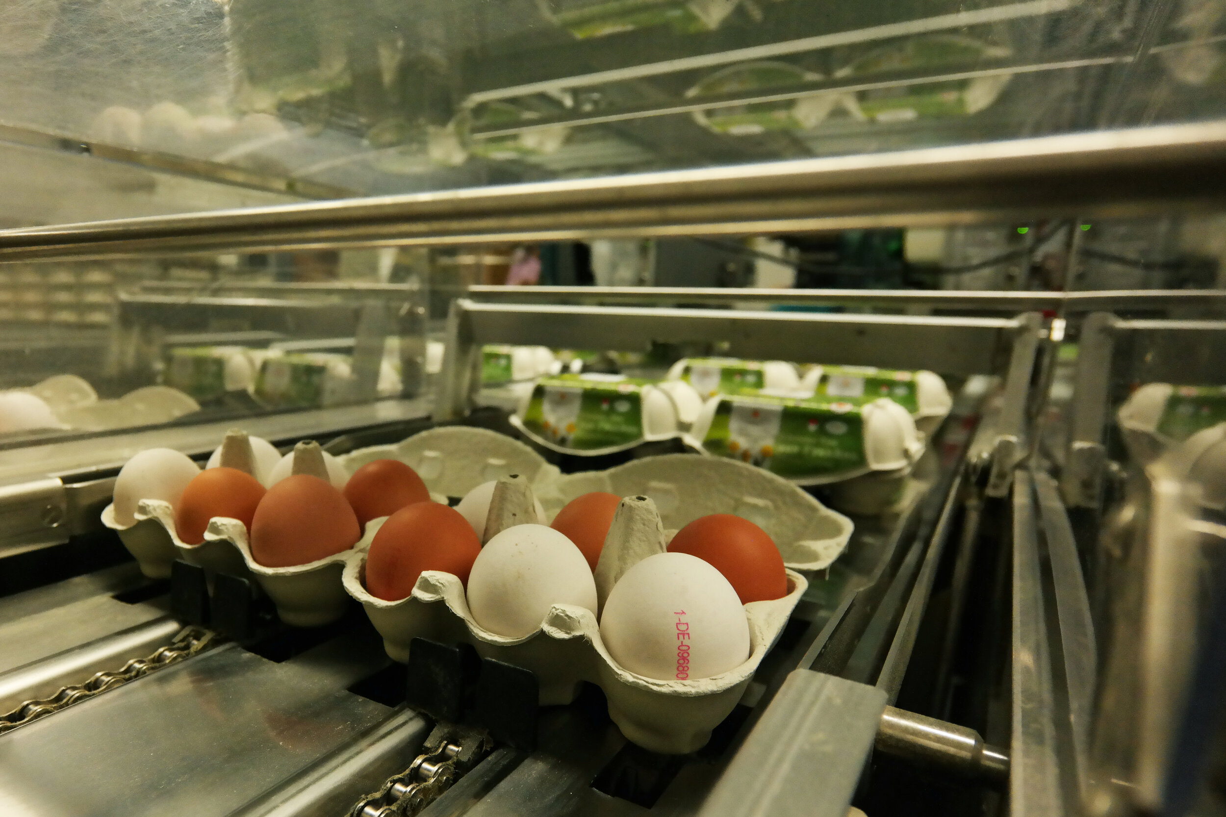Automatische Schließung der Eierschachteln
