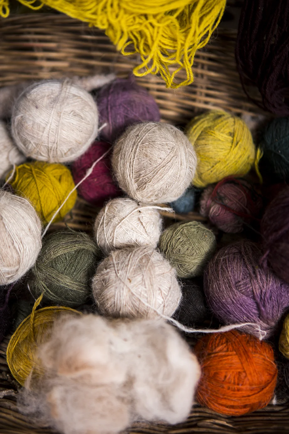 Awana Kancha alpaca farm - threads_12.jpg