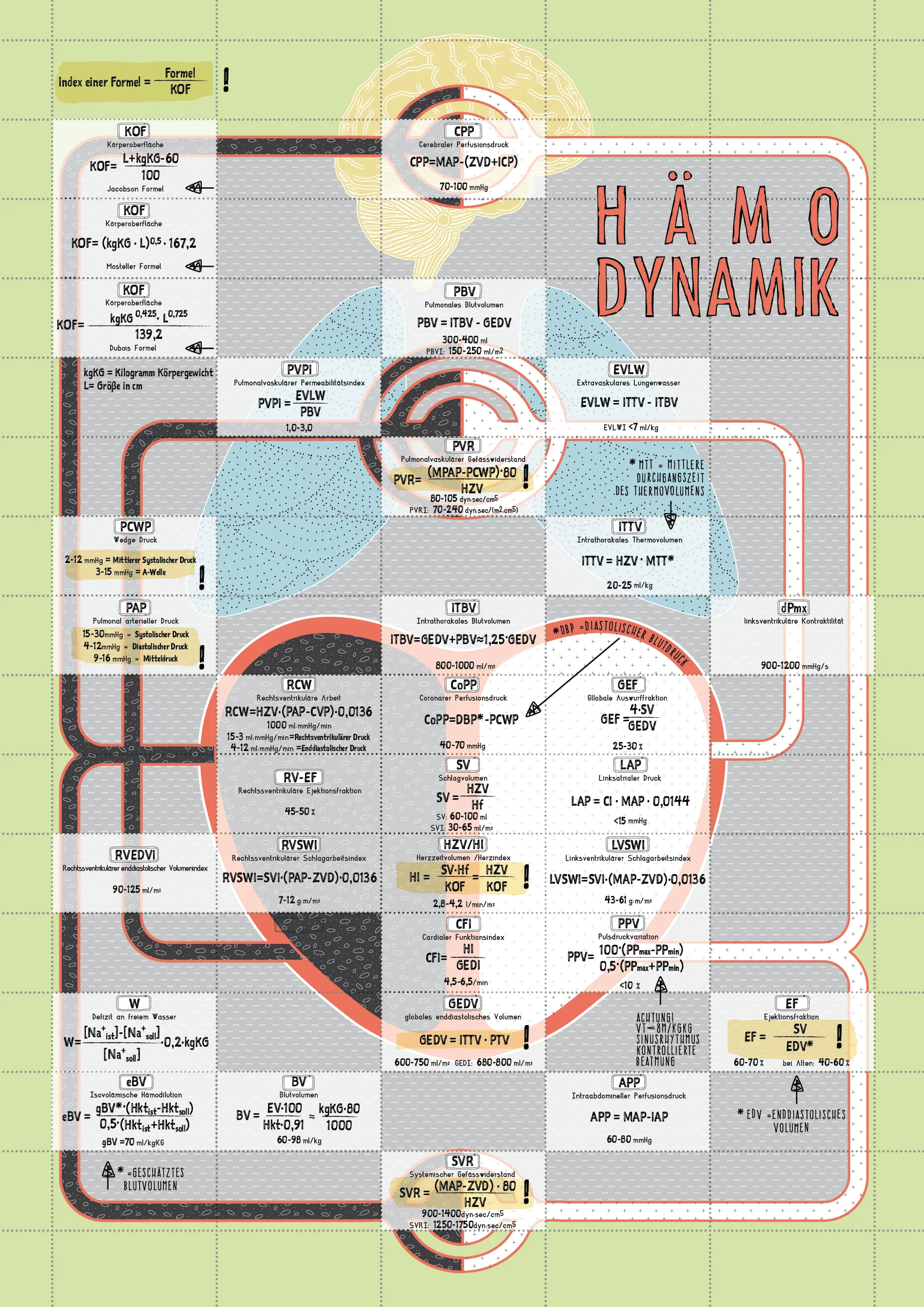 Formeln Form - Hämodynamik
