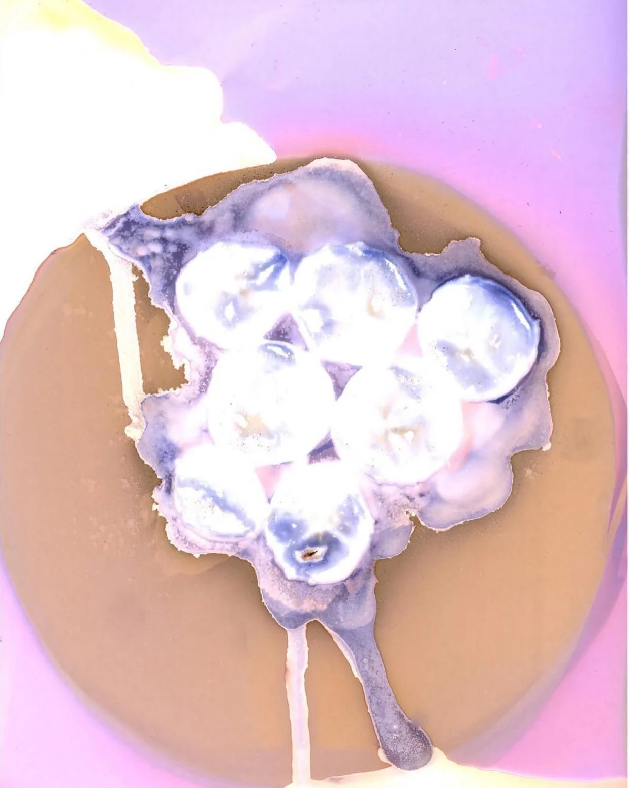 Birth of Liquid Pink 
Lumen print on expired photographic paper. Original 25x30cm. Edition of 5 copies (+ original)

#lumenpint #yevkazannik