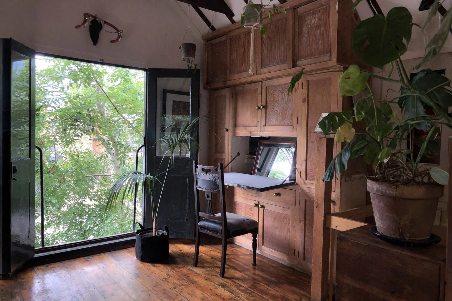 green-lens-studios-upstairs-wooden-floors-location-north-london_full_of_plants.jpg