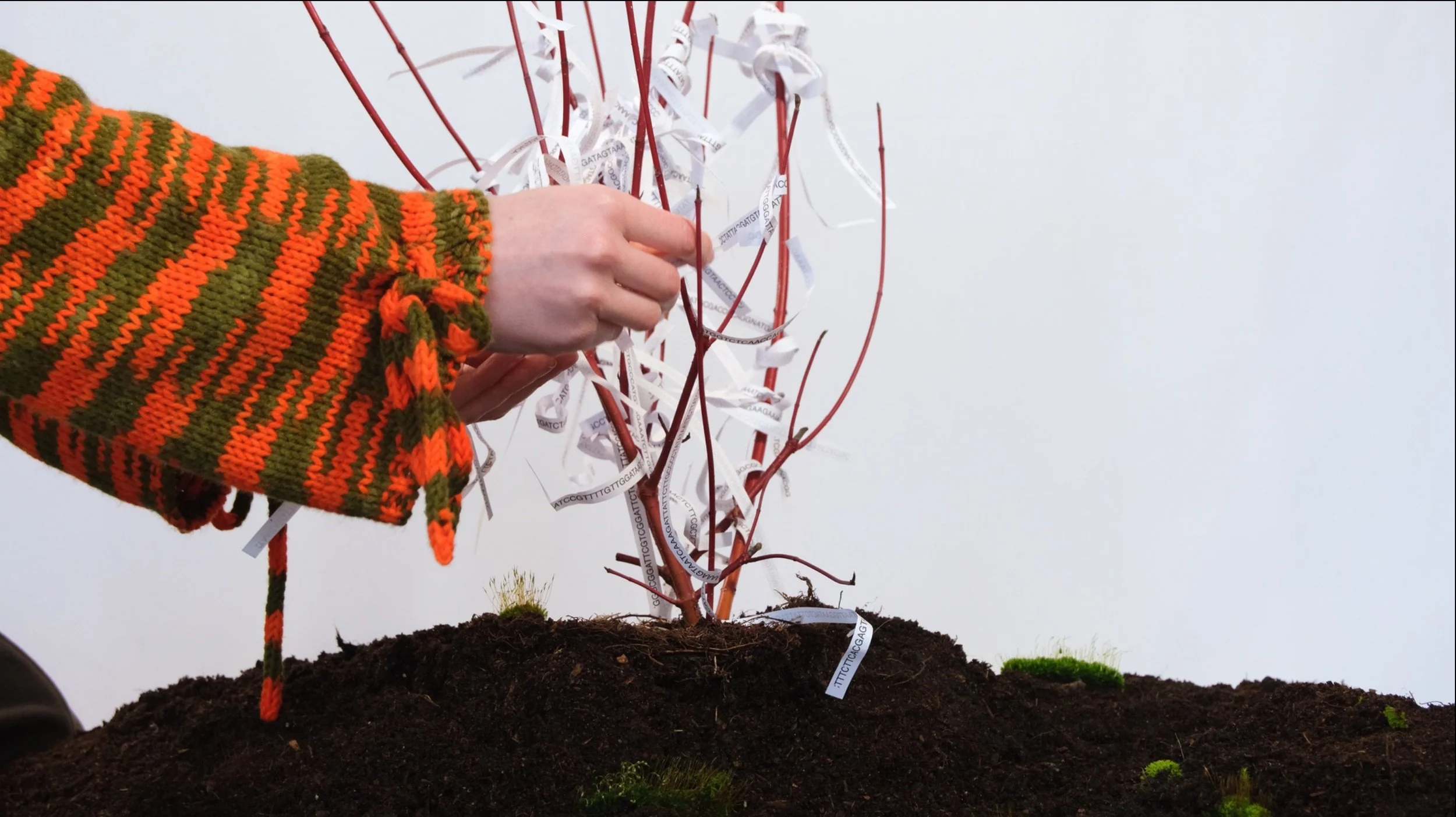 Extended Listening Practices - Beyond the Human Ear