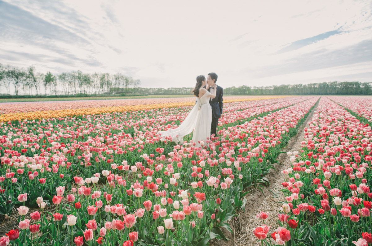 trouwen-in-het-tulpenveld