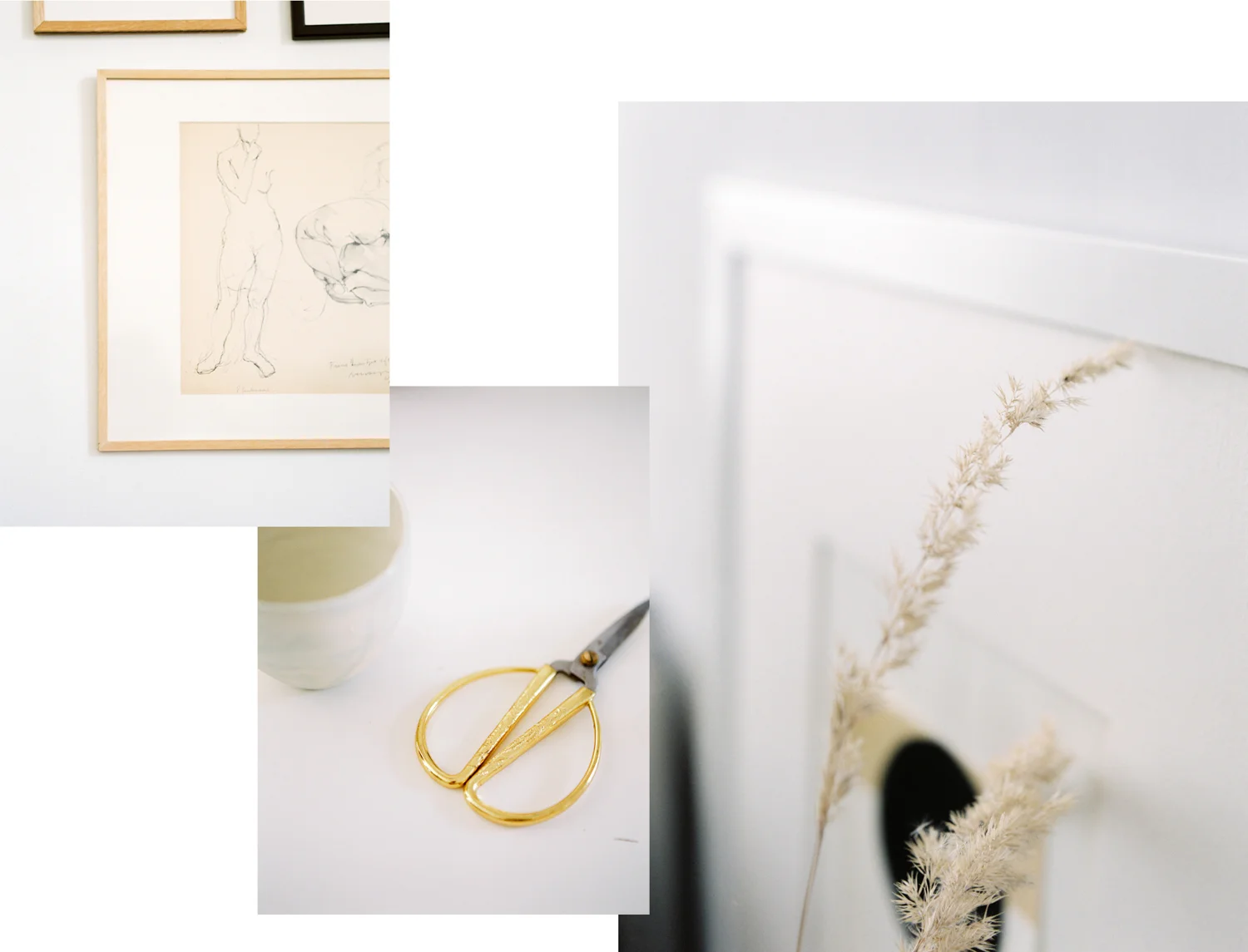minimal_organic_design_photography_style_CHYMO & MORE Photograph