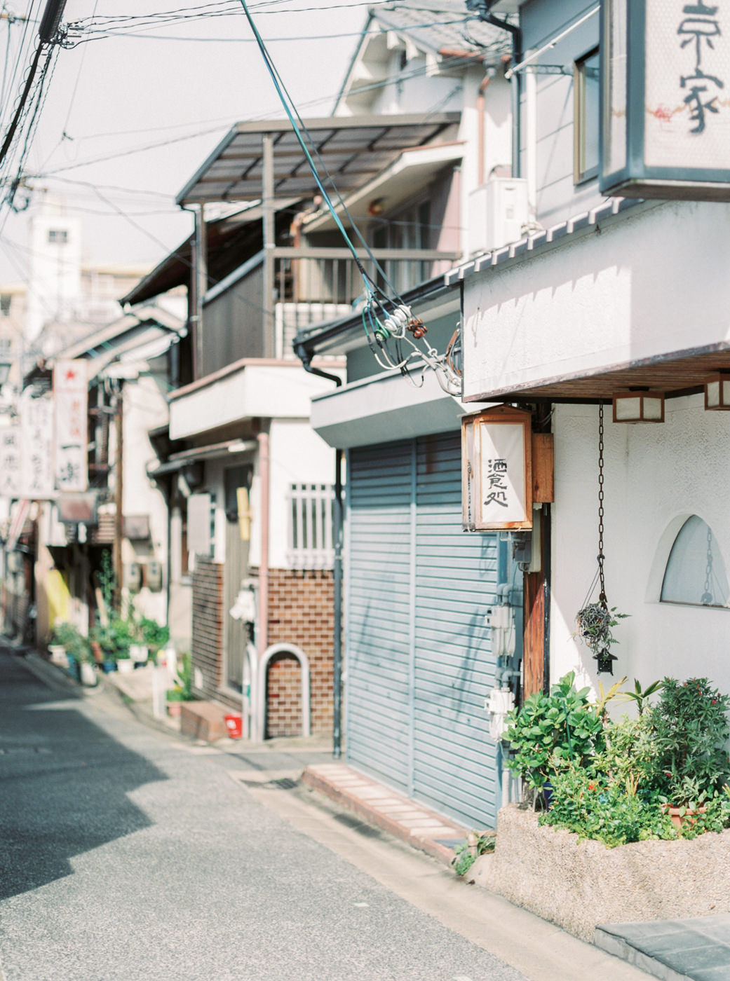 Japan_Engagement_Photographer_prewedding_cherry_blossom_Nara