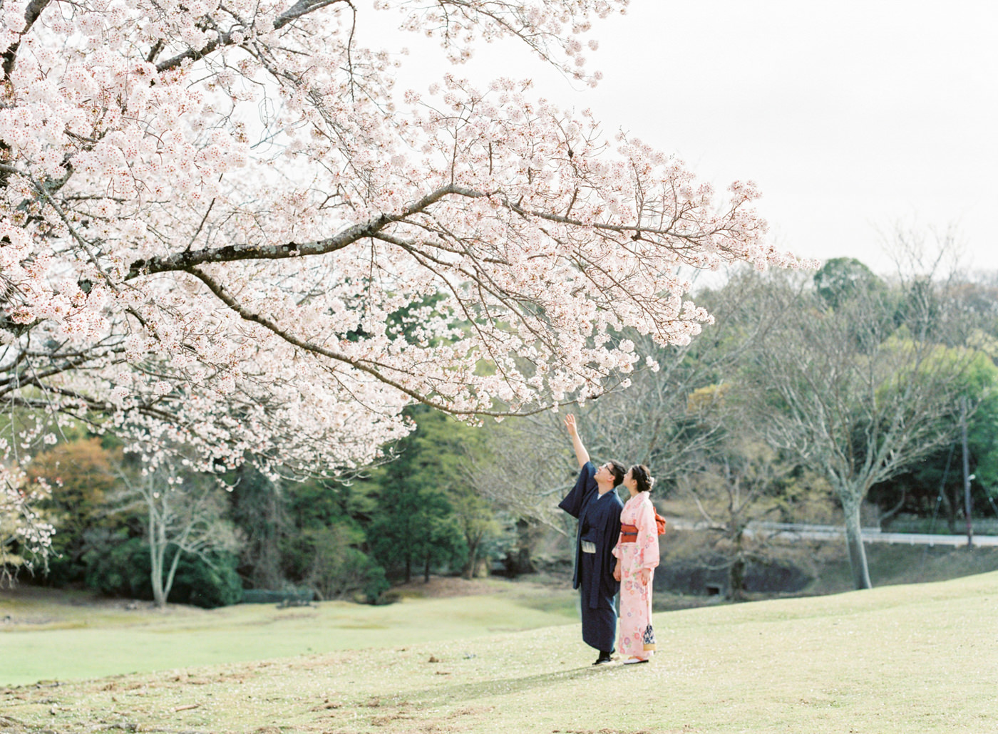 Japan_Wedding_Photographer_Kasuga_Taisha_Nara_Park_Deer_in_Nara