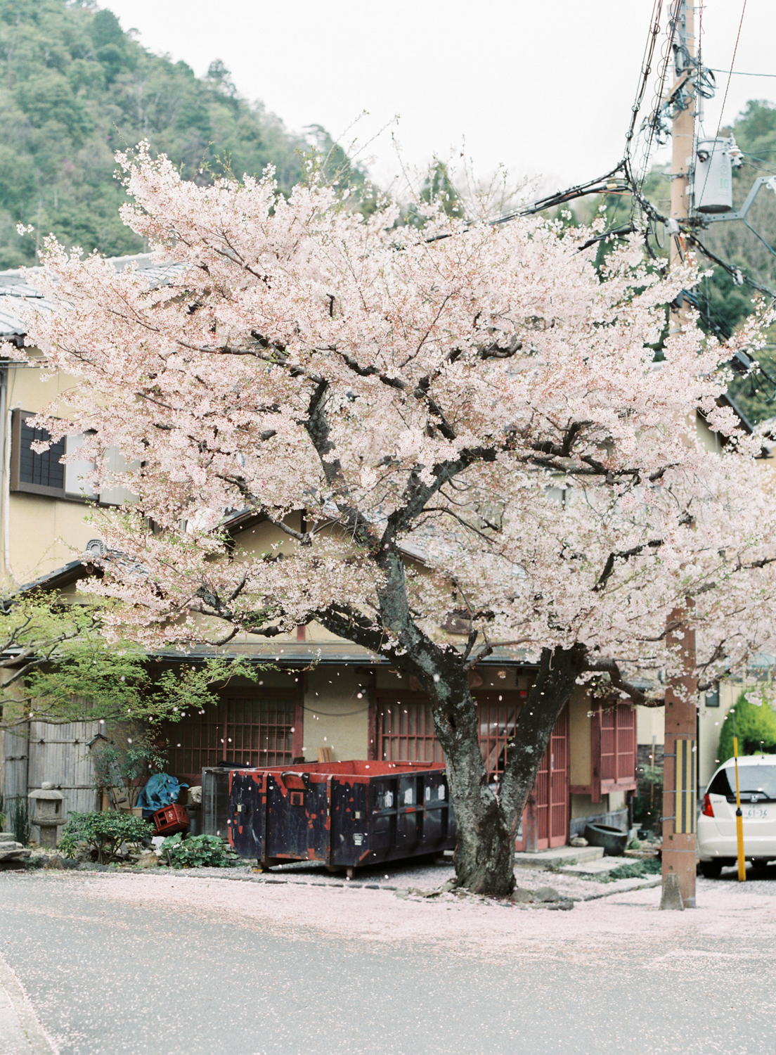 Cherry_Blossom_Pre_Wedding_Photo_Kyoto_by_CHYMO_&_MORE_Photograp