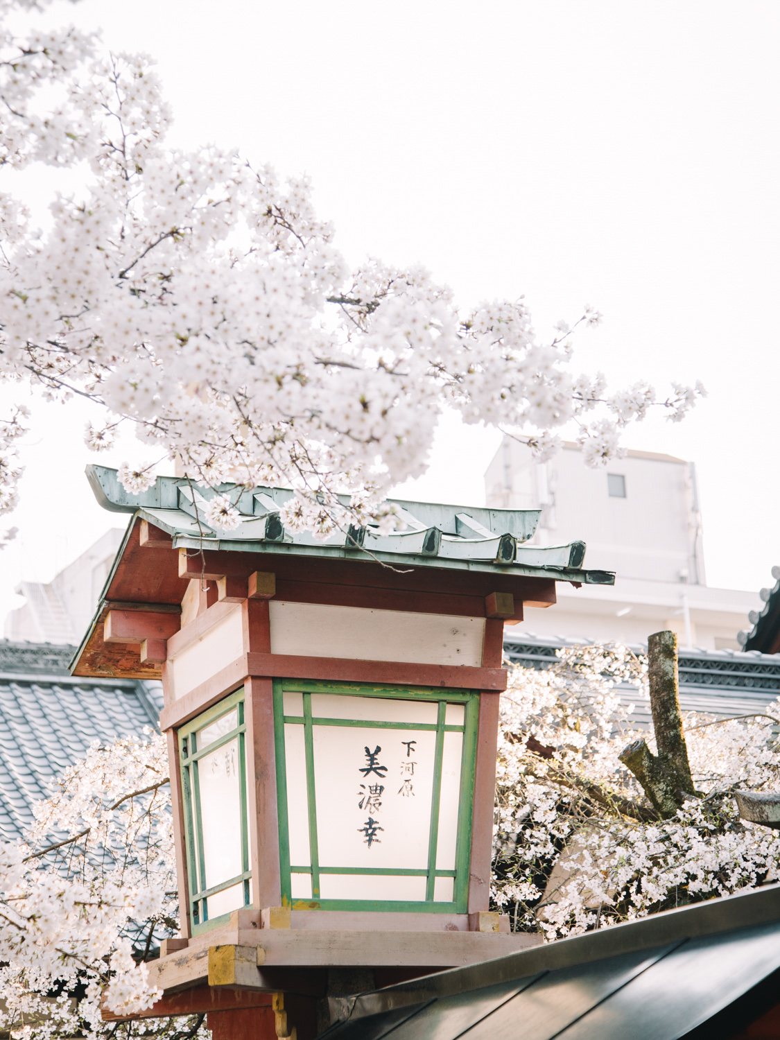 Best_Kyoto_Cherry_Blossom_Photoshoot_Location_by_CHYMO_&_MORE_Ph