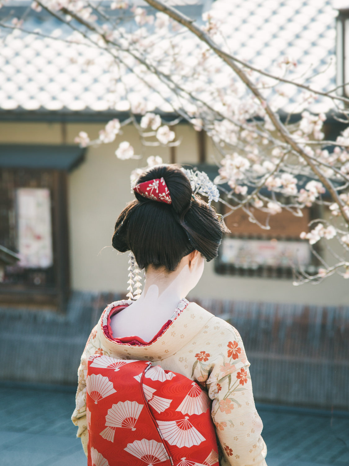 Best_Kyoto_Cherry_Blossom_Photoshoot_Location_by_CHYMO_&_MORE_Ph