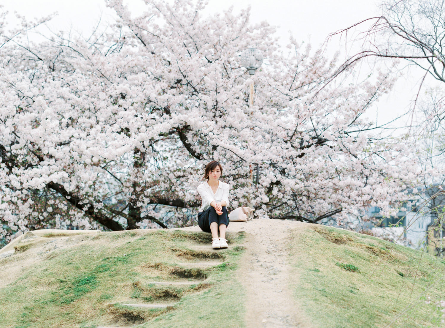 Cherry_Blossom_Pre_Wedding_Photo_Kyoto_by_CHYMO_&_MORE_Photograp