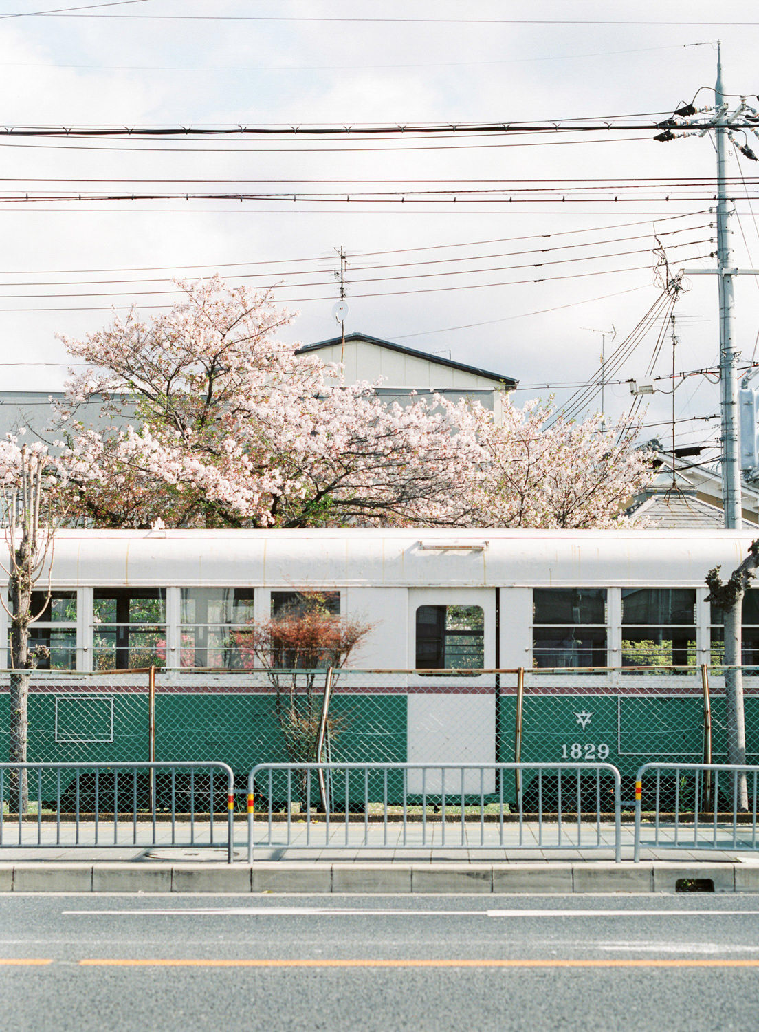 Cherry_Blossom_Pre_Wedding_Photo_Kyoto_by_CHYMO_&_MORE_Photograp
