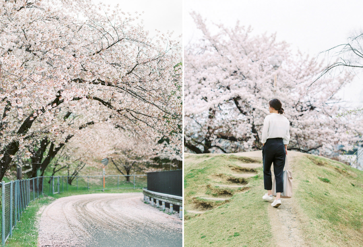 Cherry_Blossom_Pre_Wedding_Photo_Kyoto_by_CHYMO_&_MORE_Photograp