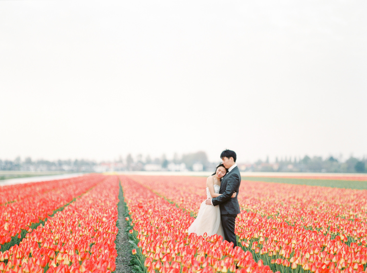 Netherlands Flower Field Prewedding Engagement Photographer