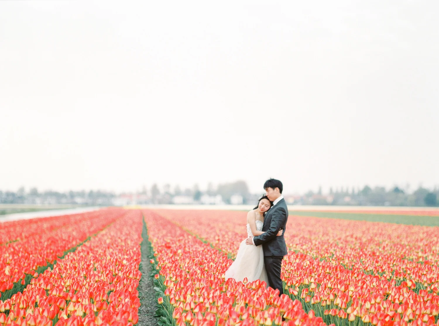 Netherlands Flower Field Prewedding Engagement Photographer