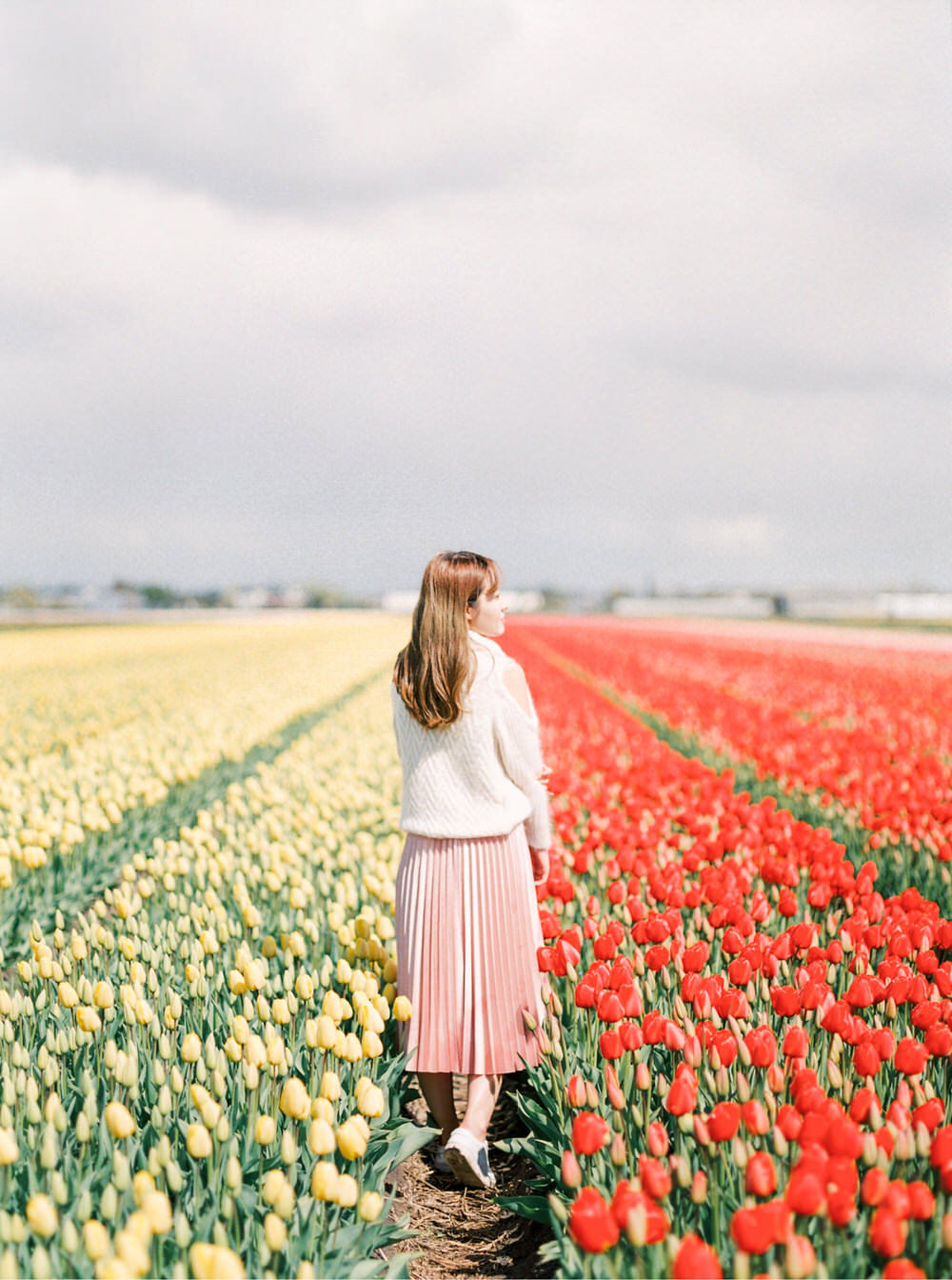 Netherlands Amsterdam Flower Field Portrait Photography - CHYMO