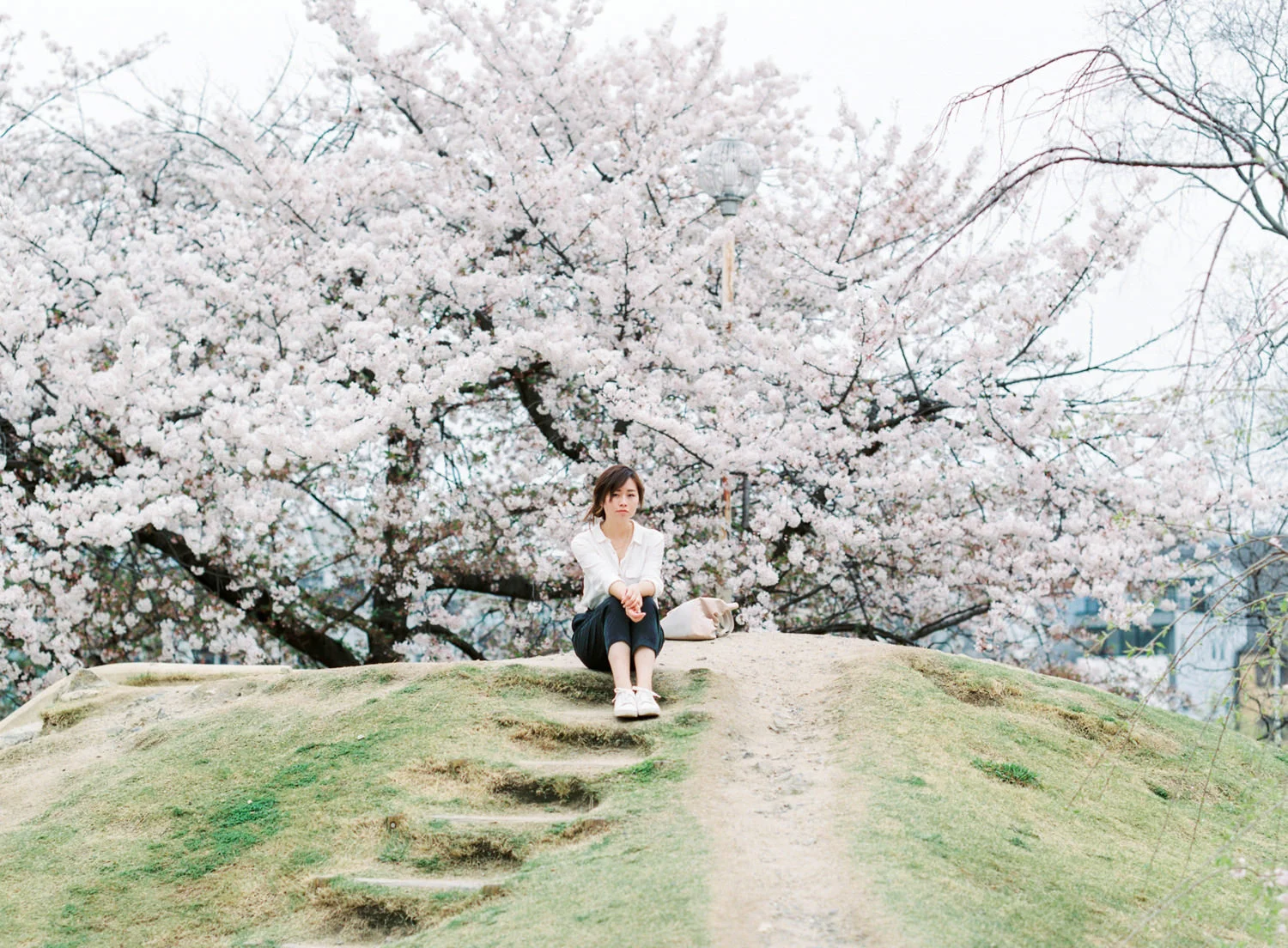 7 Best Cherry Blossom Photoshoot Spots in Kyoto &amp; Nara, Japan