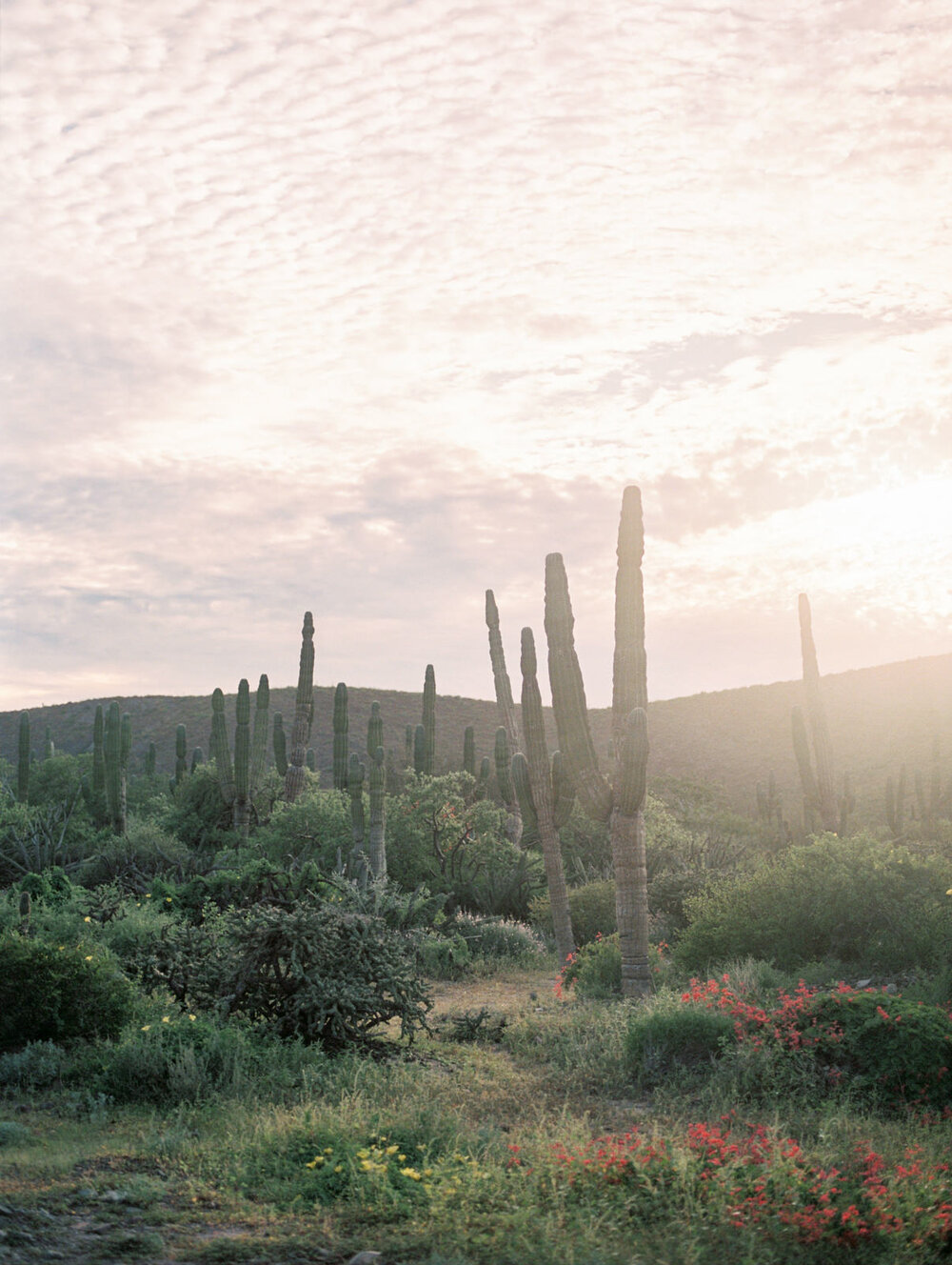 Europefilm  travel photography by destination wedding photograph