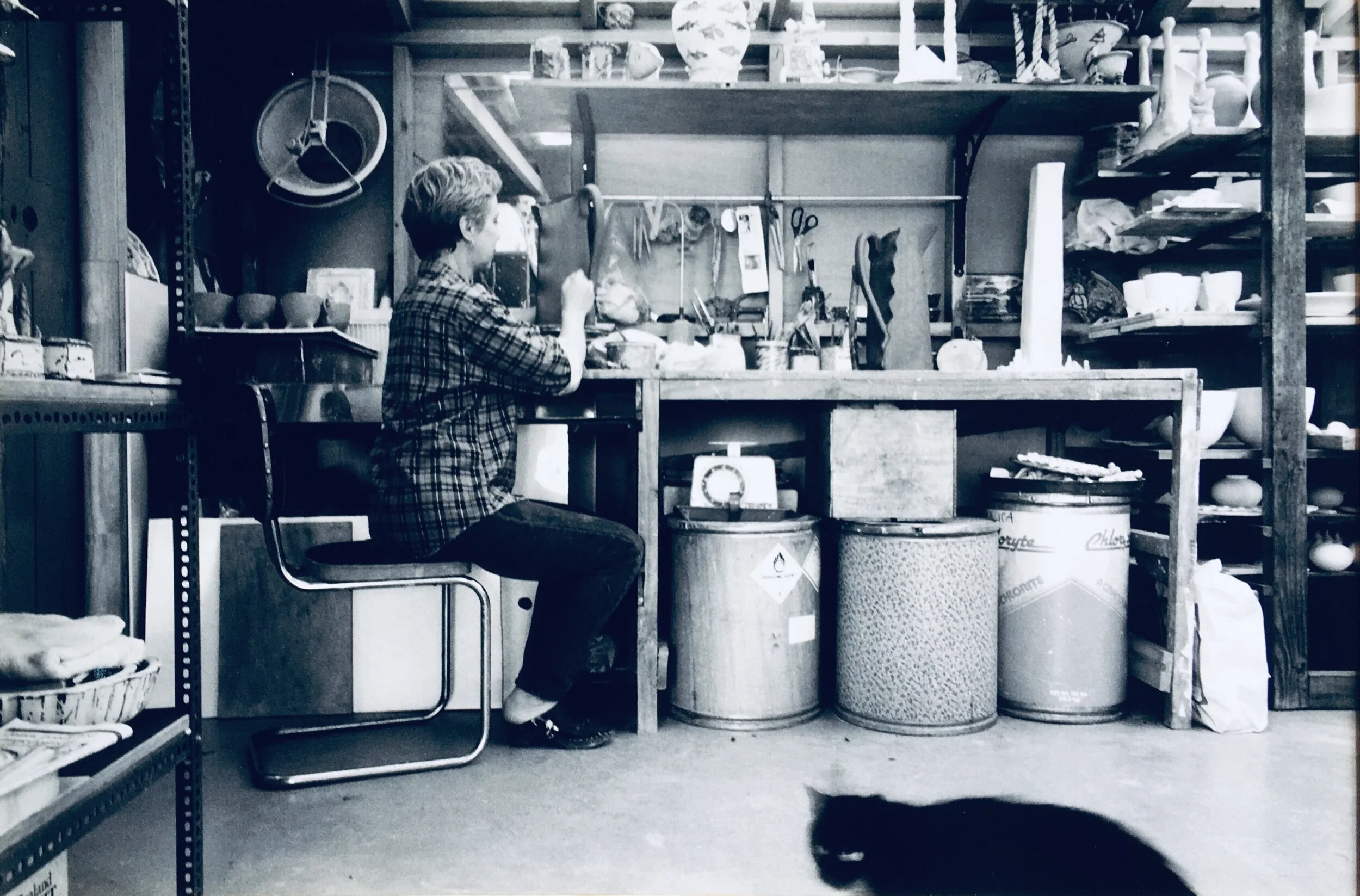 The workshop with black cat 